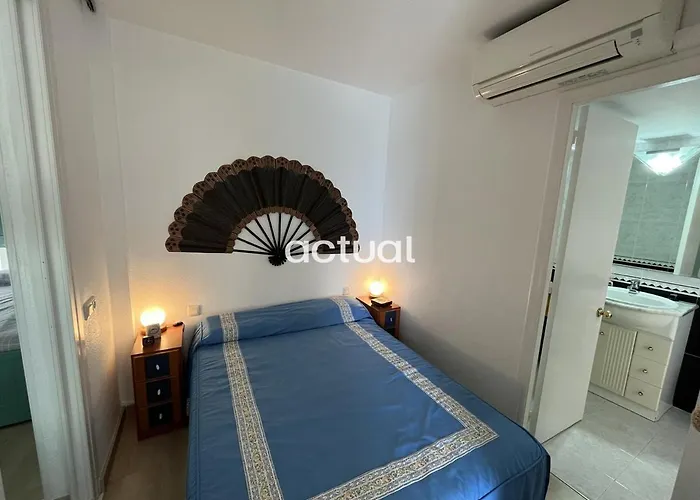 President D-10 플라티야 다로